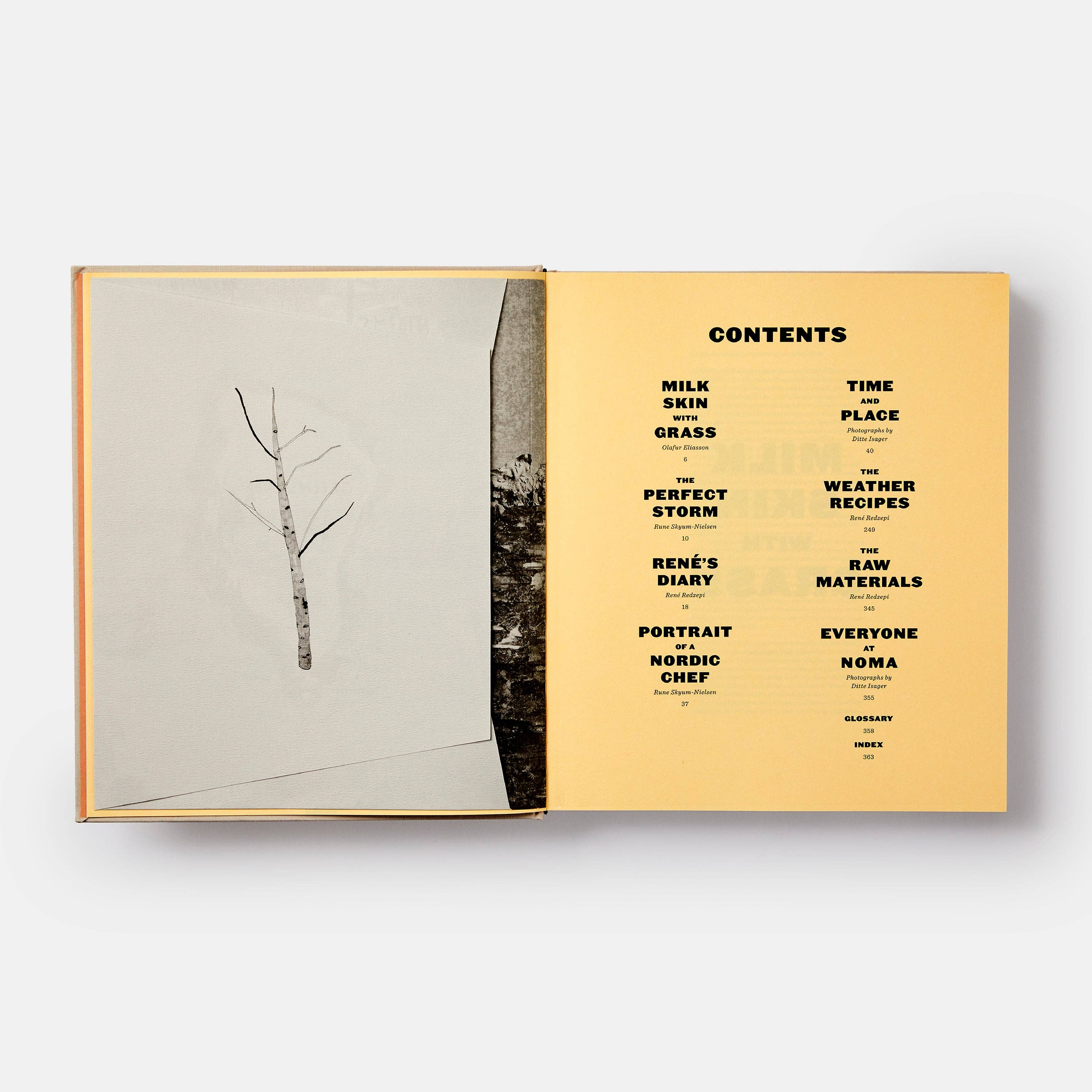 Noma : époque et lieu de la cuisine nordique